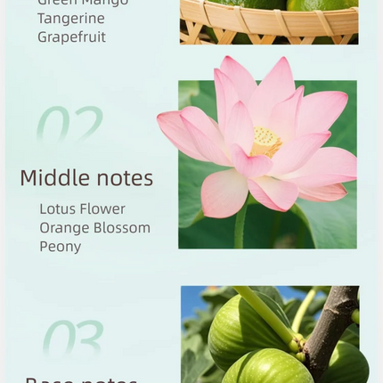 Nile Garden Women's Perfume Lasting Fragrance High-End Niche Perfume Fresh Floral Eau De Toilette Women Body Fragrance Spray