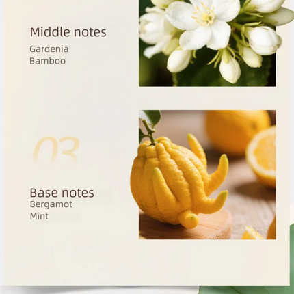 Nile Garden Women's Perfume Lasting Fragrance High-End Niche Perfume Fresh Floral Eau De Toilette Women Body Fragrance Spray
